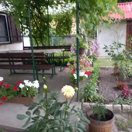 Palicka Ruza - Rose Гостевой дом Палич